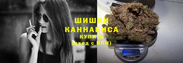 герыч Мегион