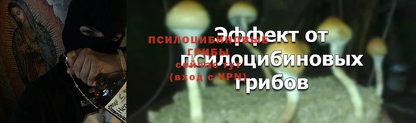 герыч Мегион