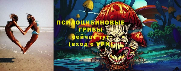 хмурый Медногорск