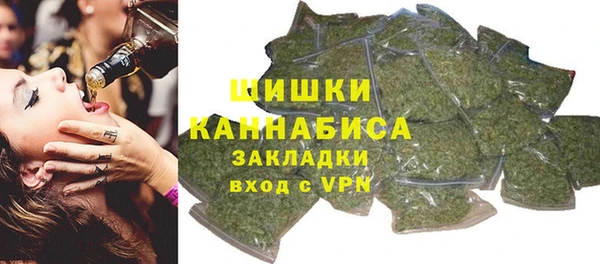 хмурый Медногорск