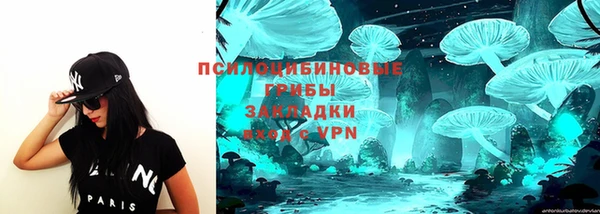 хмурый Медногорск